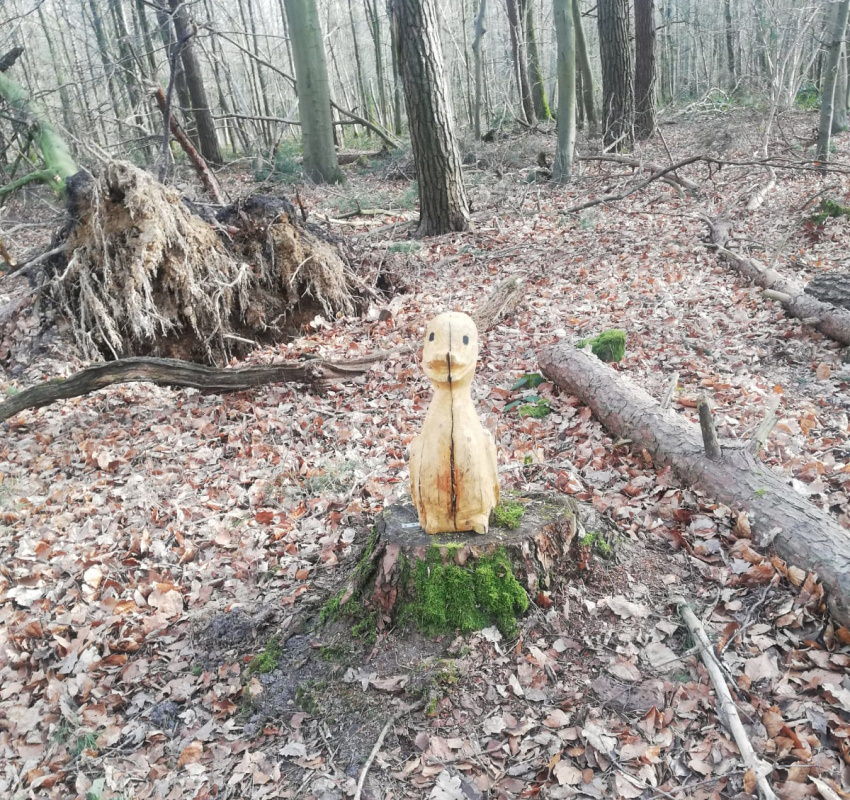 Kunst im Wald