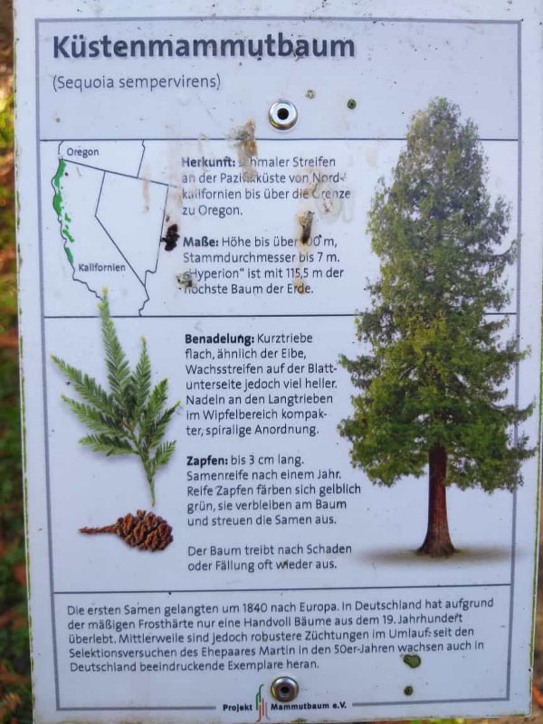 Sequoiafarm